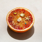 2025 6Pcs/set Women's Exquisite Marine Element Earrings 18K Gold-plated Stainless Steel Starfish Shell Crab Waterproof Earrings