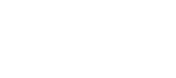Moonlit Silhouette